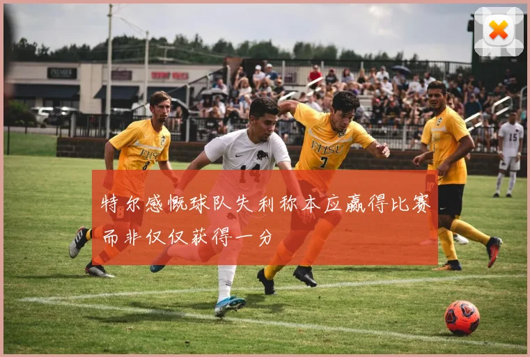 特尔感慨球队失利称本应赢得比赛而非仅仅获得一分